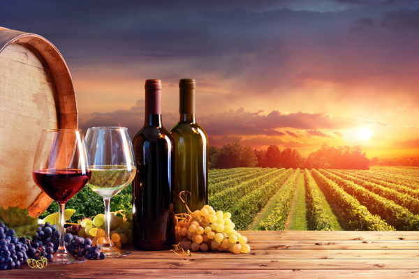 Botellas de vino en un viñedo, destacando la conexión con la tradición.