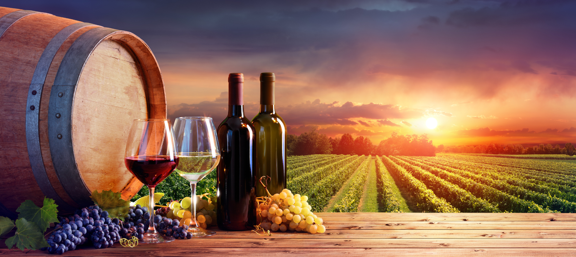 Botellas de vino en un viñedo, destacando la conexión con la tradición.