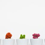 Cómo usar el diseño en branding. Diseño y valores de marca. Estrategias de diseño para marcas.