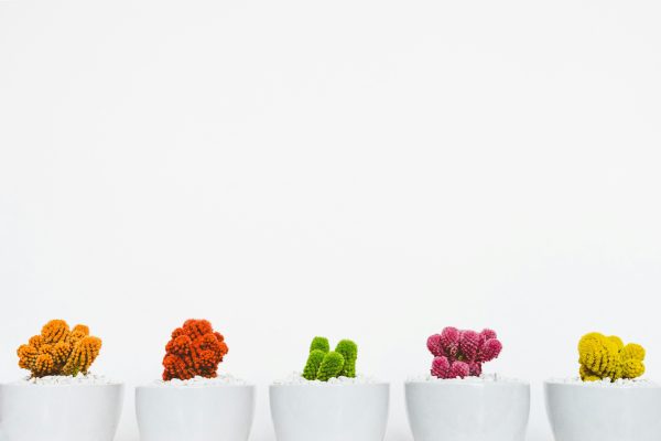 Cómo usar el diseño en branding. Diseño y valores de marca. Estrategias de diseño para marcas.