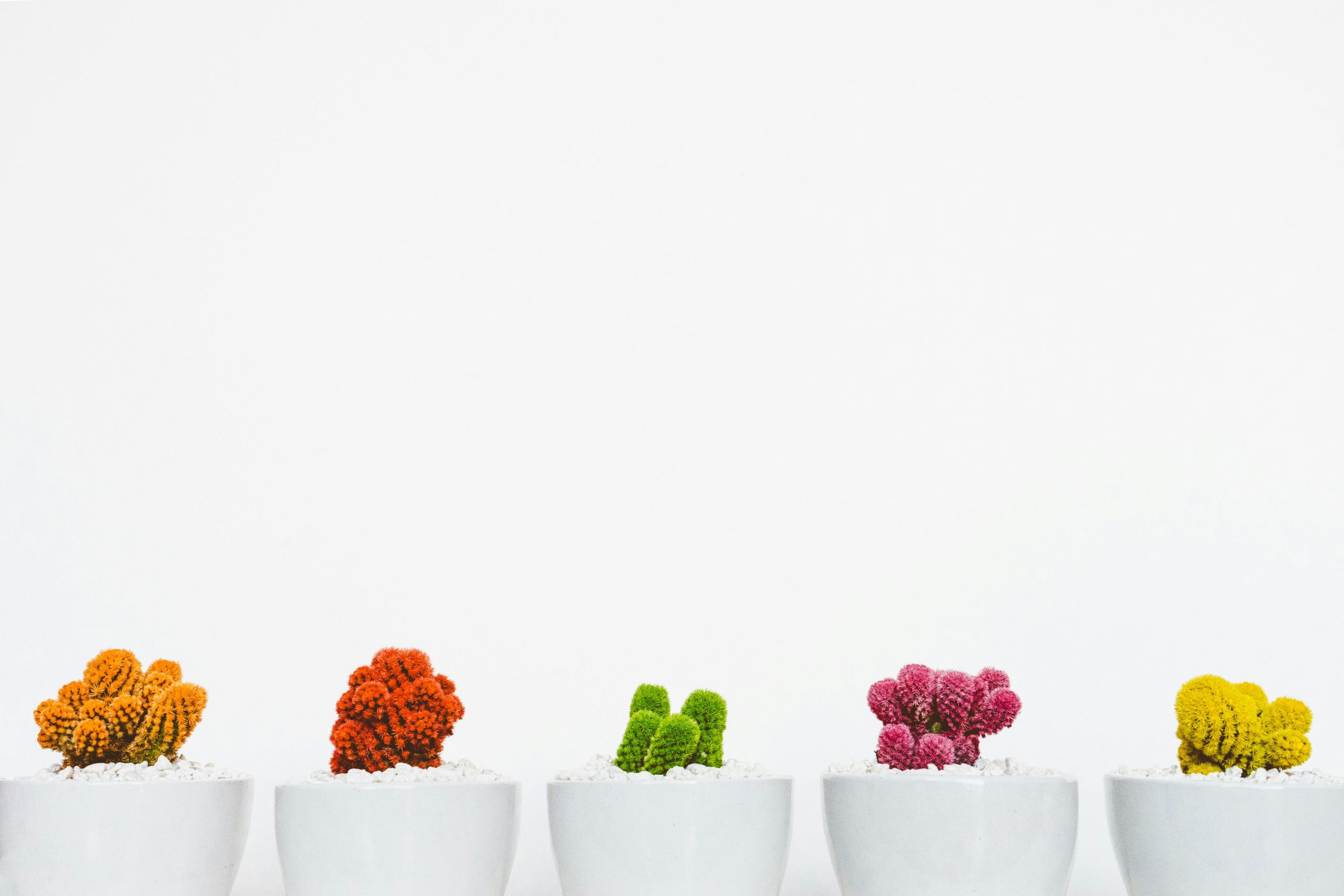 Cómo usar el diseño en branding. Diseño y valores de marca. Estrategias de diseño para marcas.