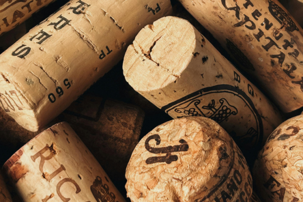 branding bodegas emergentes